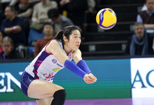 规则-女排23人世联赛名单朱婷在列 确认回归or个人决定